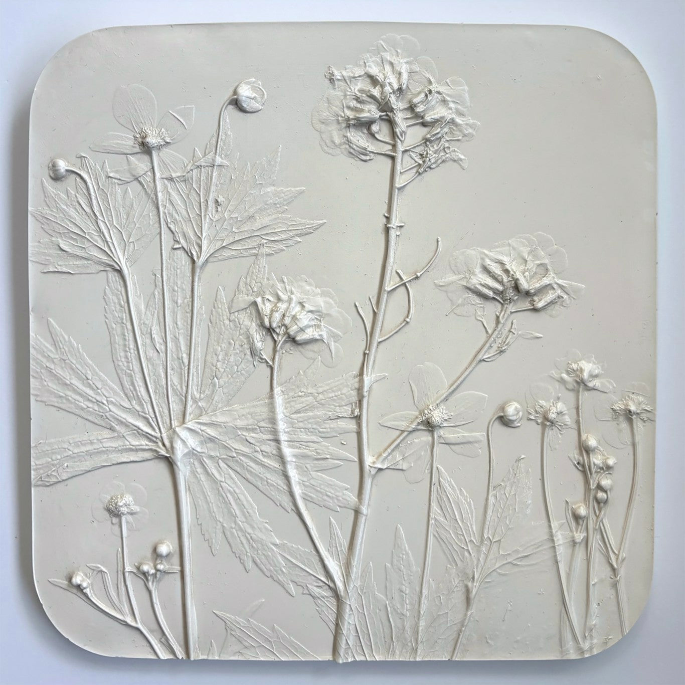 Rebecca Fortin