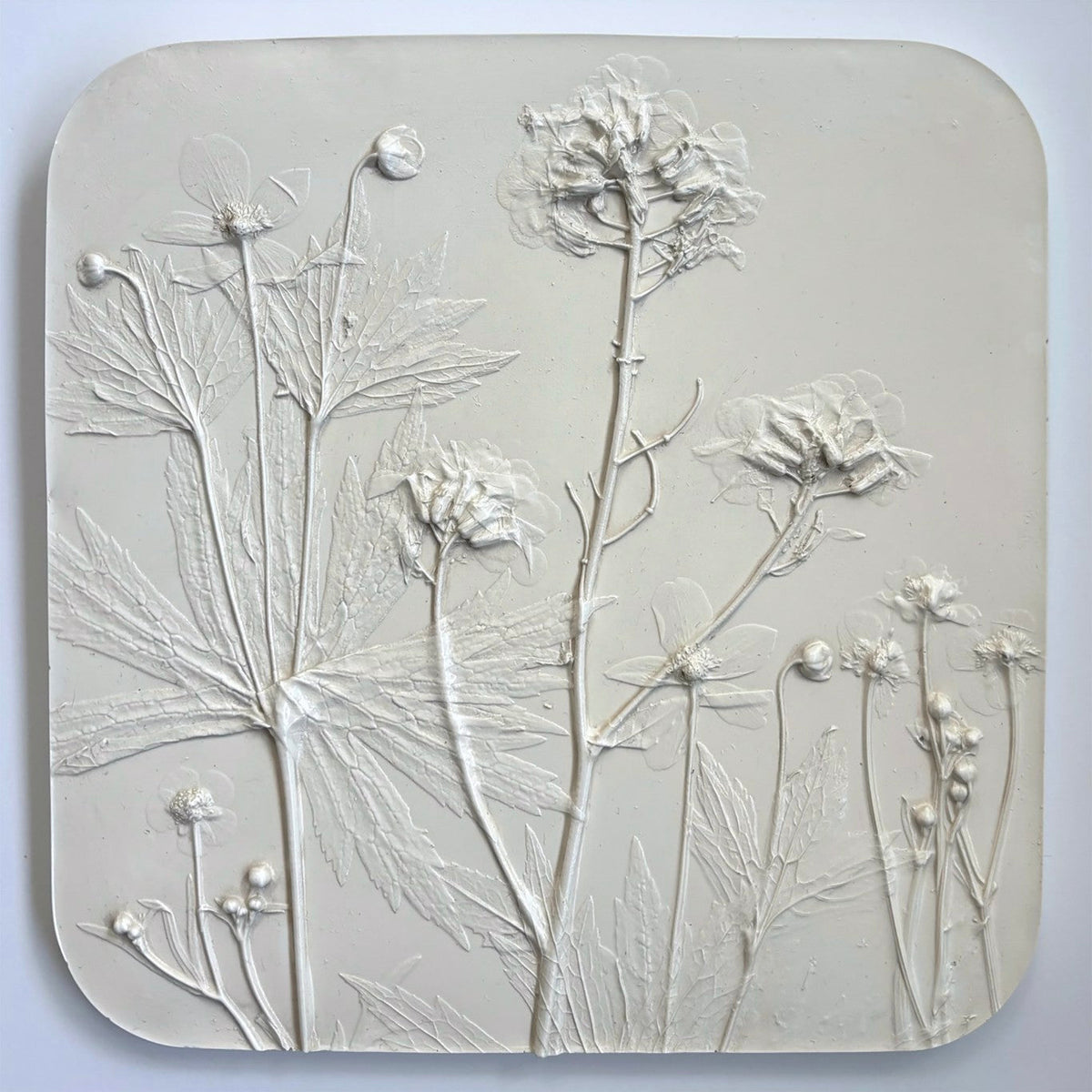 Rebecca Fortin