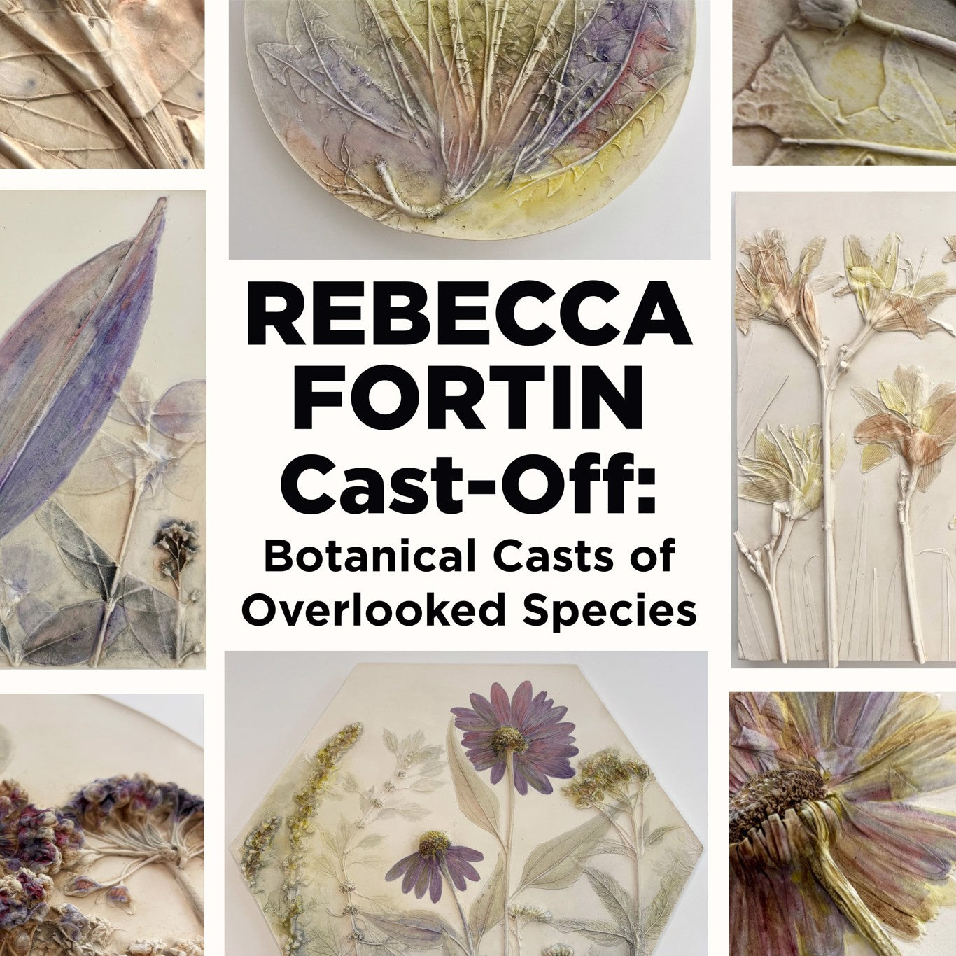 Rebecca Fortin:  Cast-Off: Botanical Casts of Overlooked Species