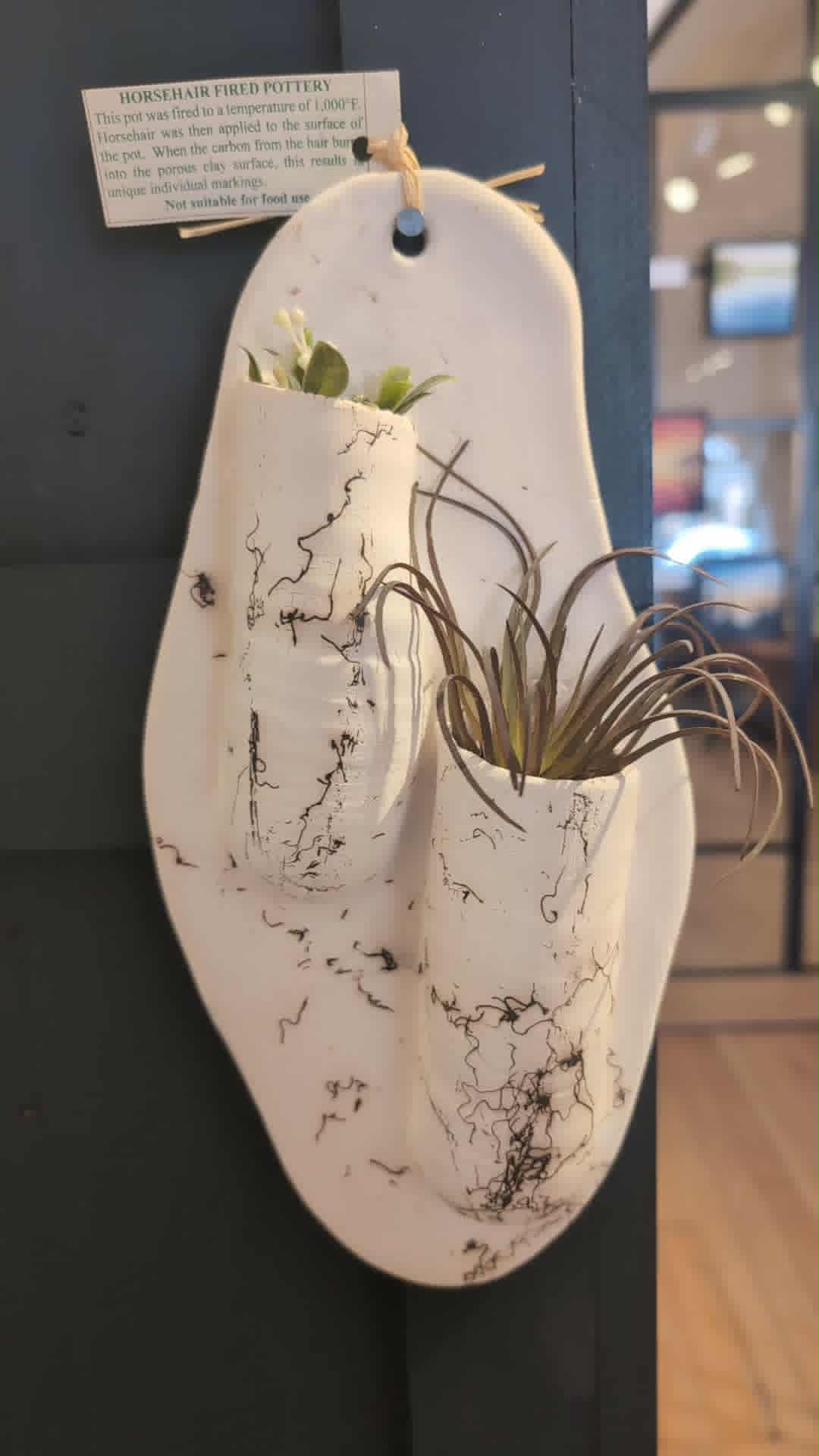 Wall Planter (horsehair finish)
