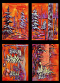 Nature Studies