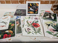 Fine Art Prints