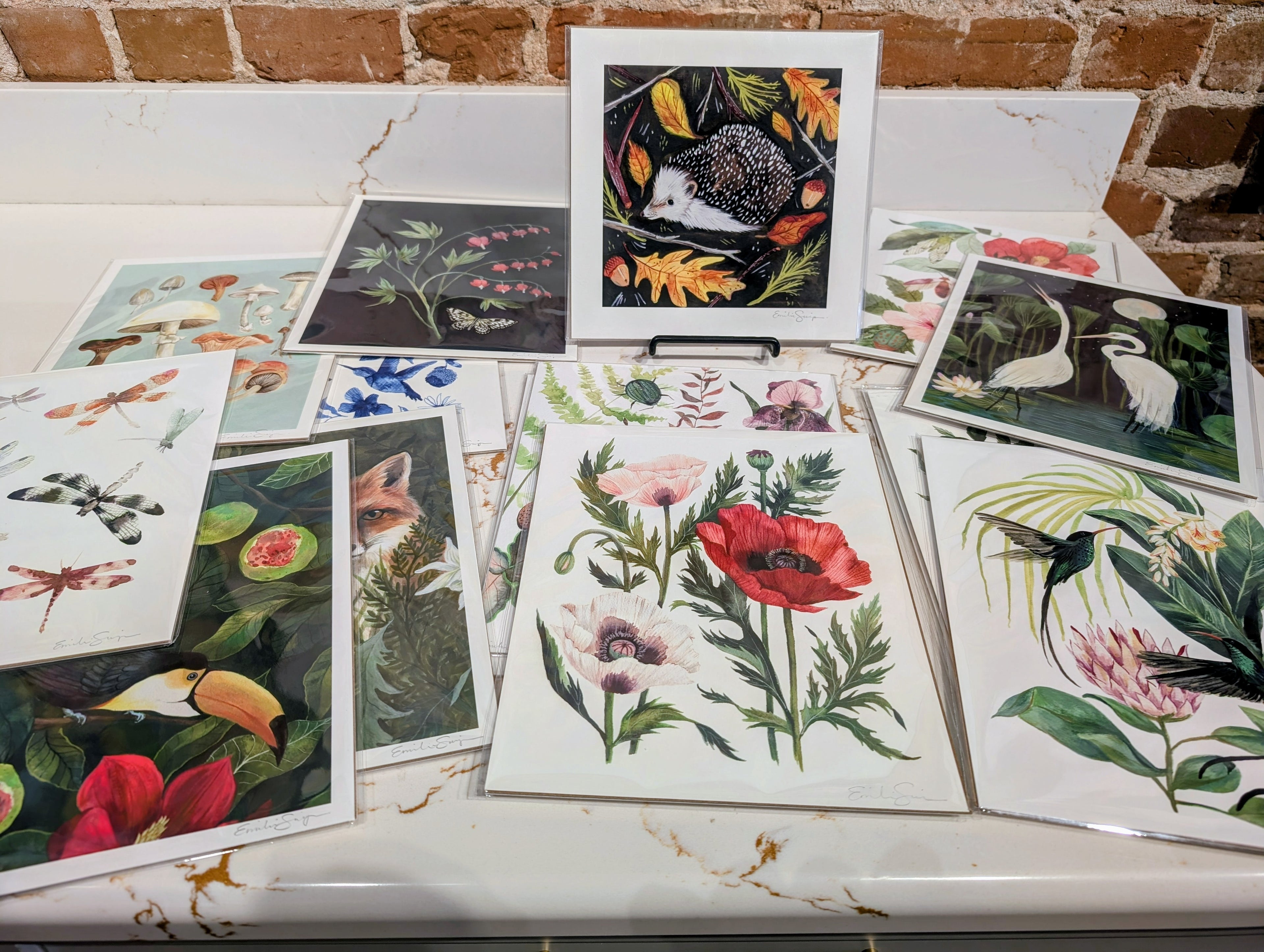 Fine Art Prints