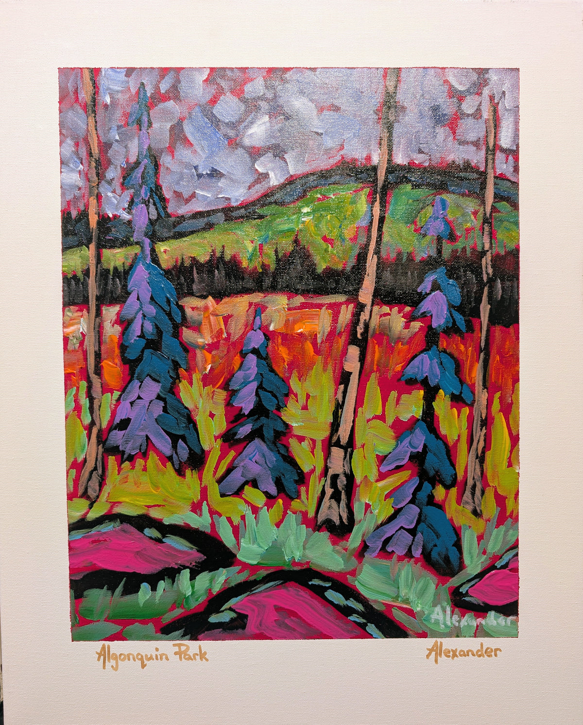 Algonquin Park