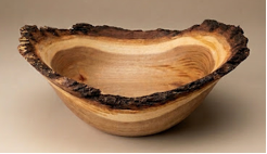 Chinese Elm, Live Edge 11.5"
