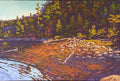 Rocky Shoreline