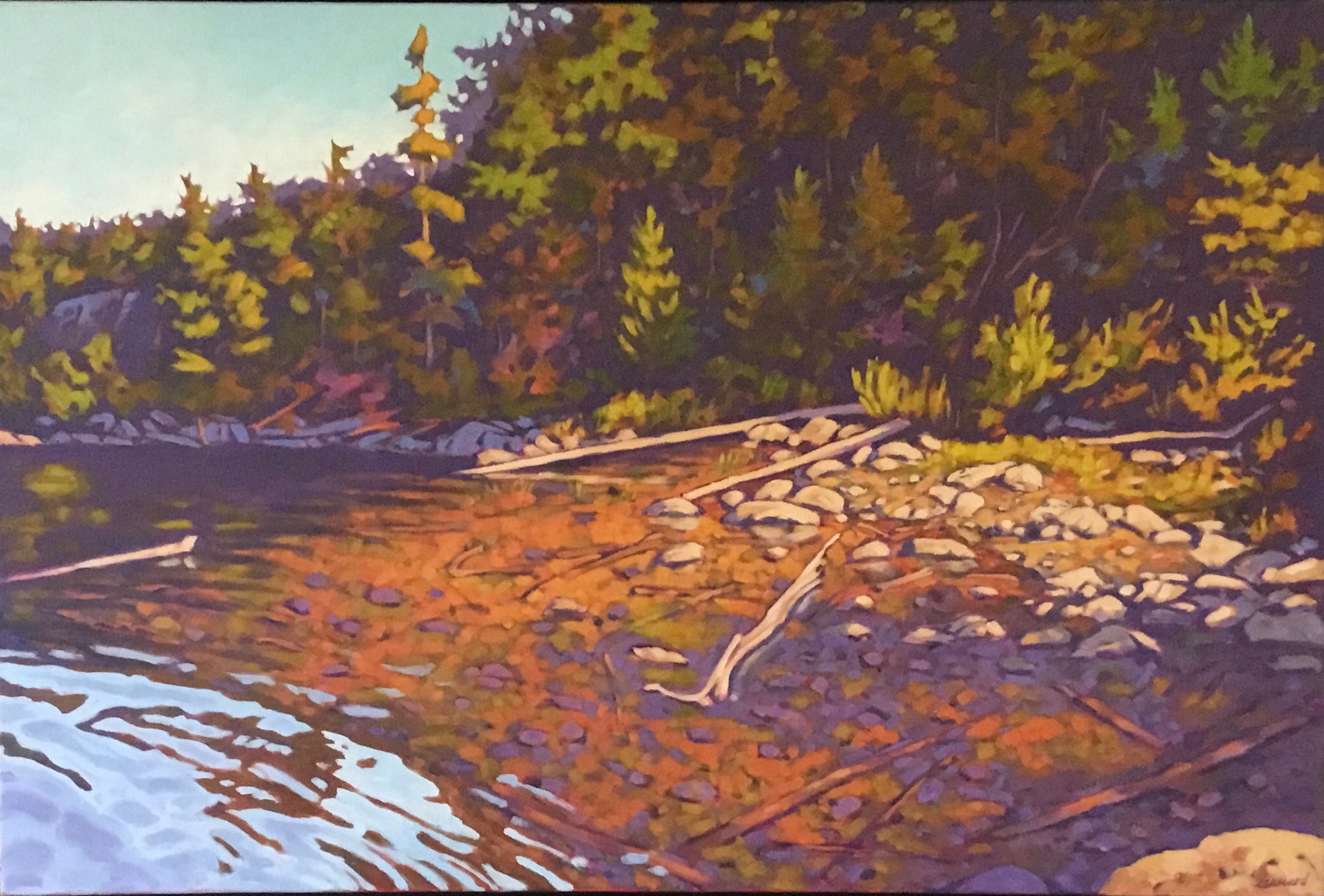 Rocky Shoreline
