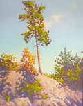 King of the Hill