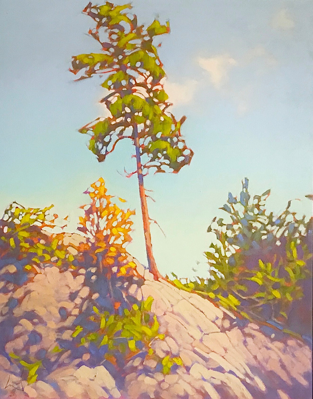 King of the Hill