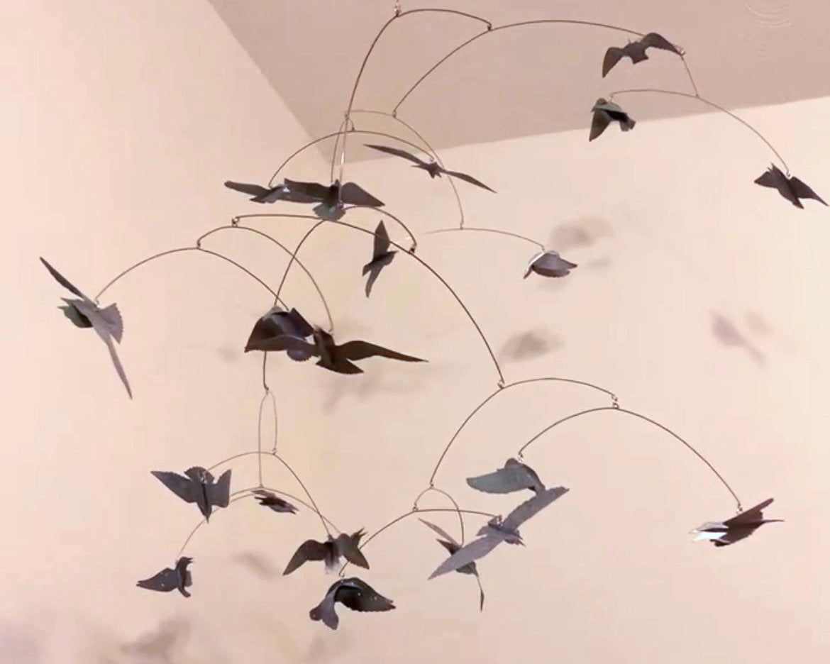 Murmeration