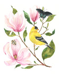 Goldfinch and Magnolia