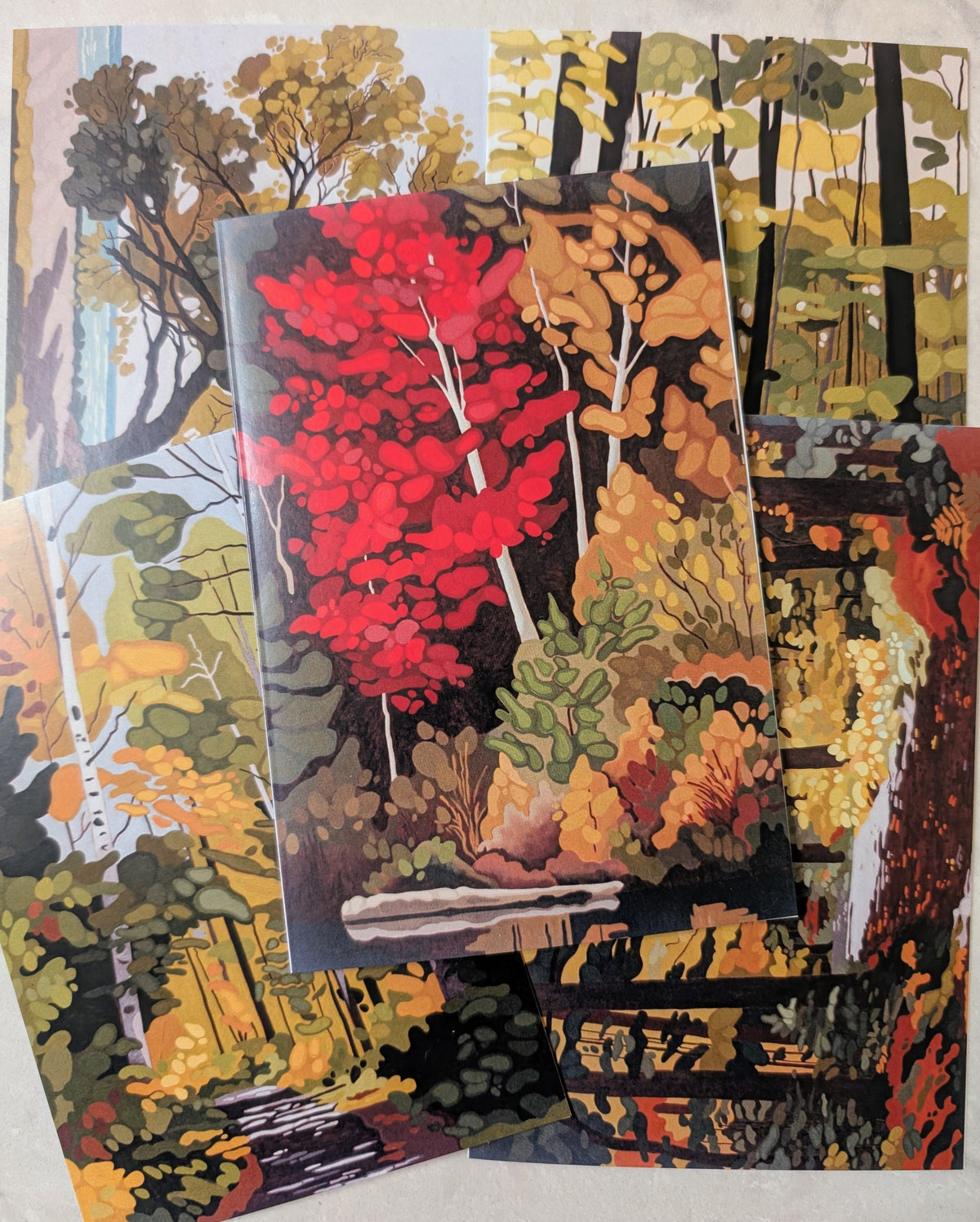 Blank Cards, Package of 5 ( L Baird)