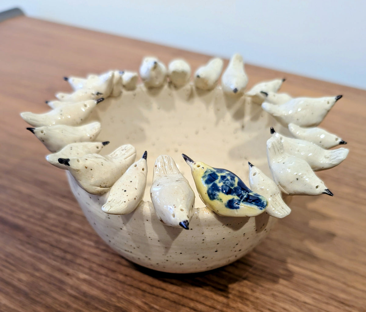 "Odd One Out" Bird Bowl (large)