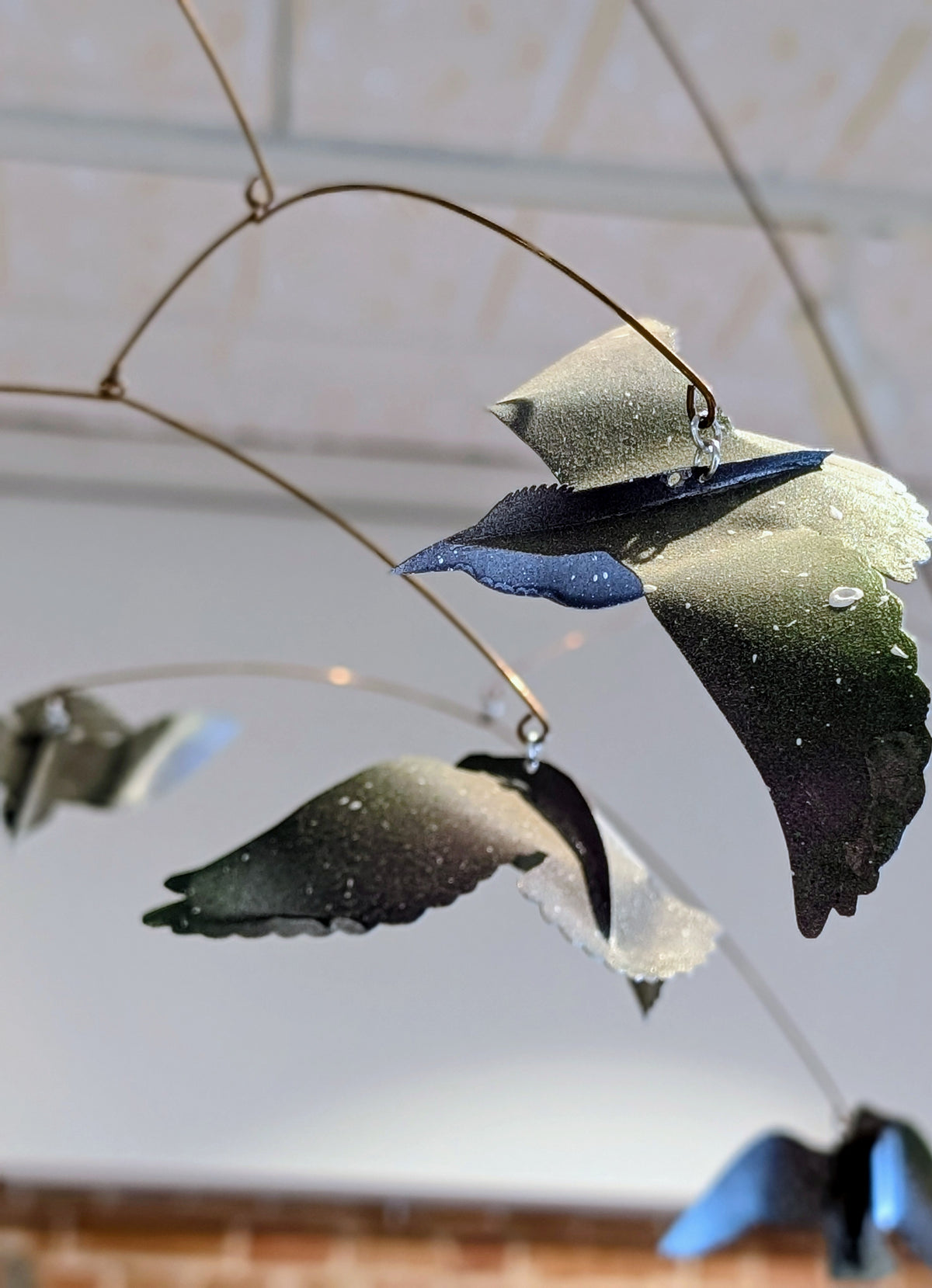 Murmuration
