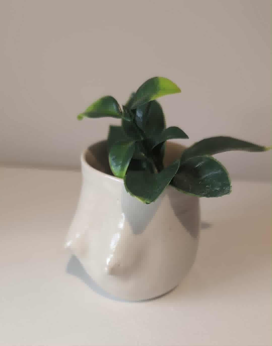 Nudie Vase (small)