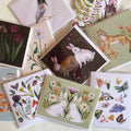 Blank Cards (Emilie Simpson)