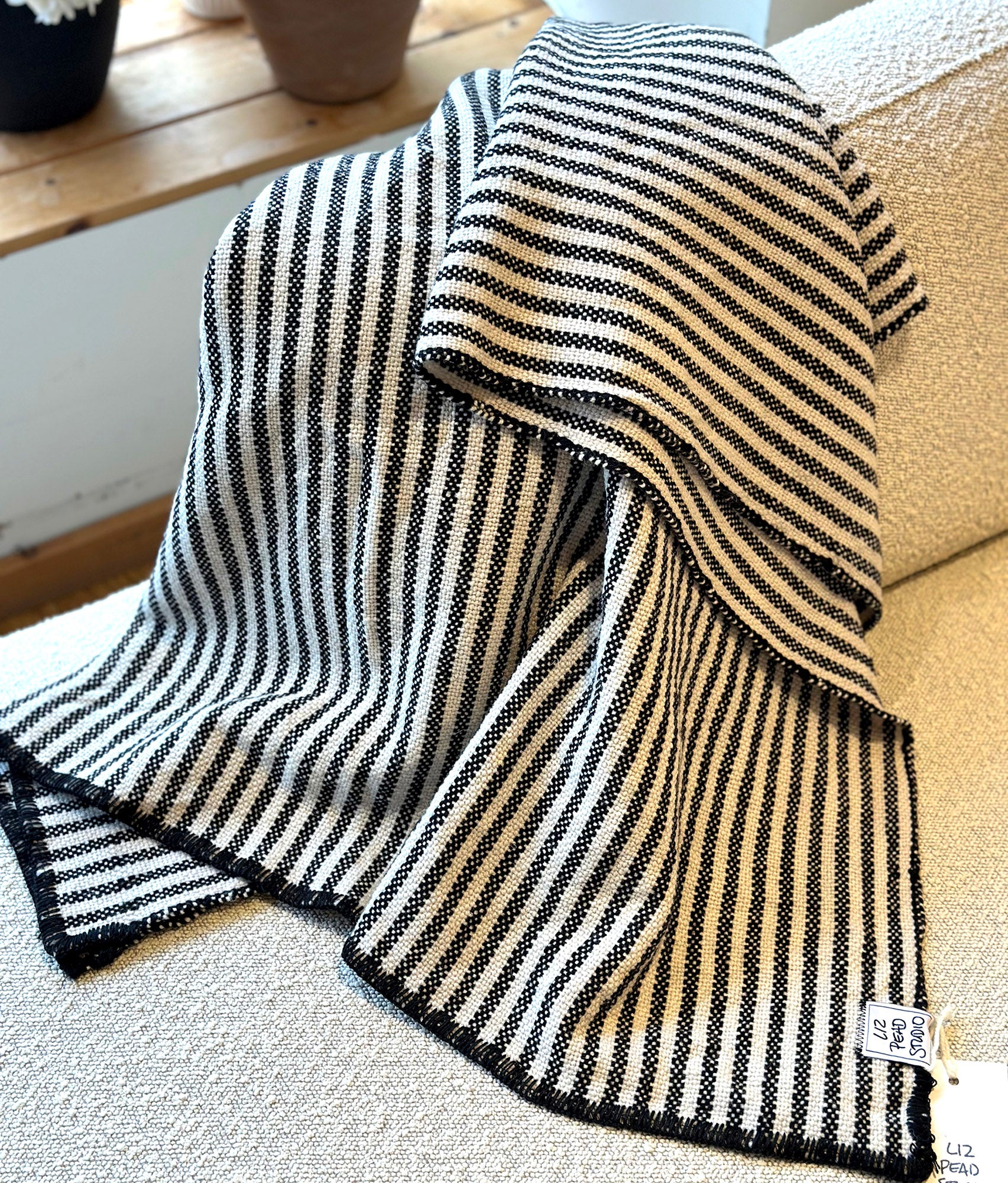 White Stripe Tabby