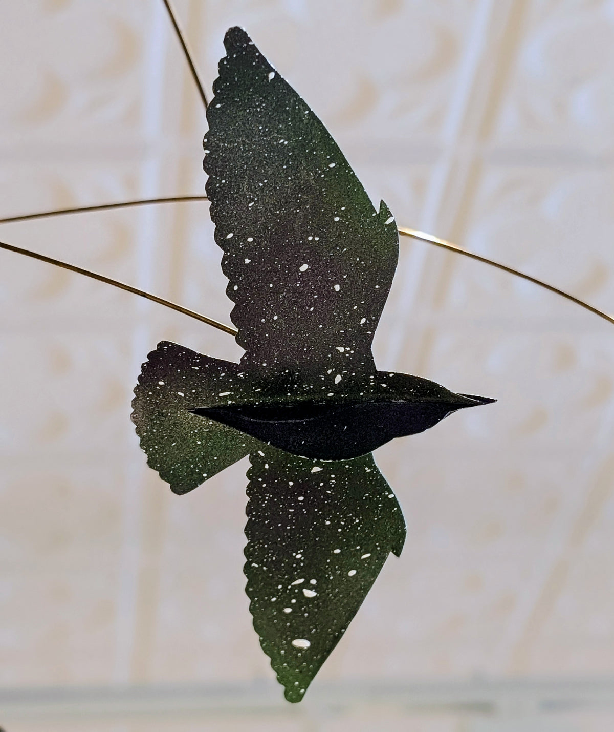 Murmuration