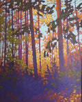 Enchanted Forest
