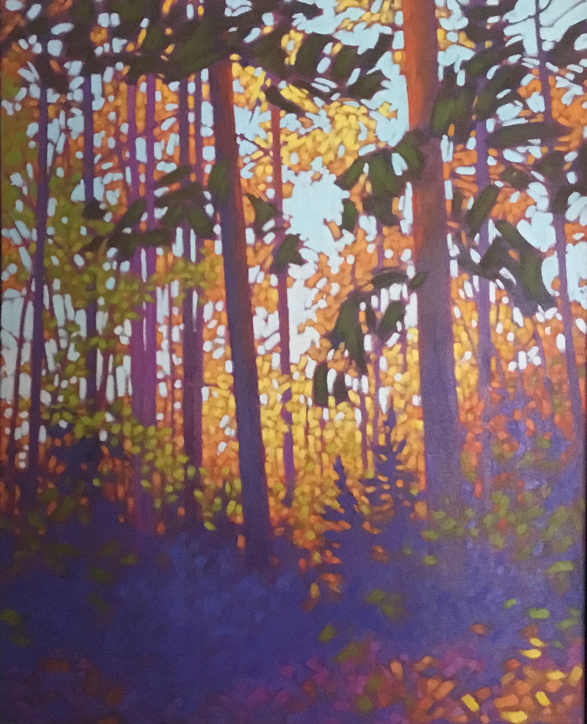 Enchanted Forest
