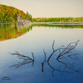 Solitaire Stillness