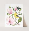 Goldfinch and Magnolia (print)