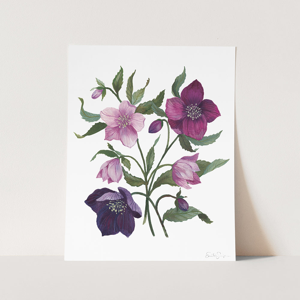 Hellebores (print)