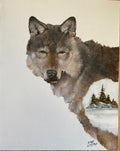 Red Fox