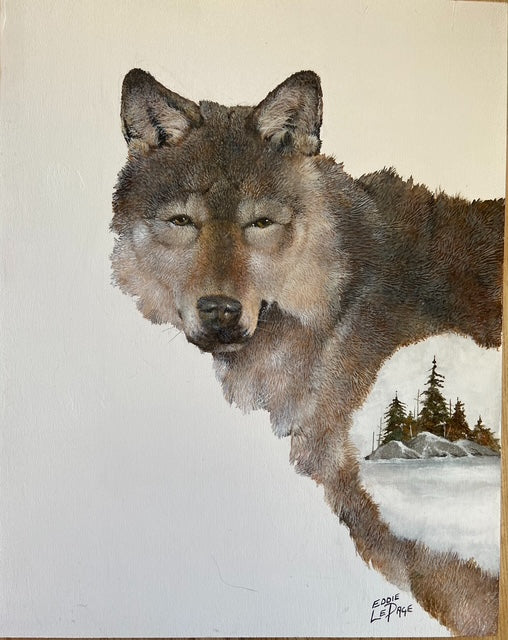 Red Fox