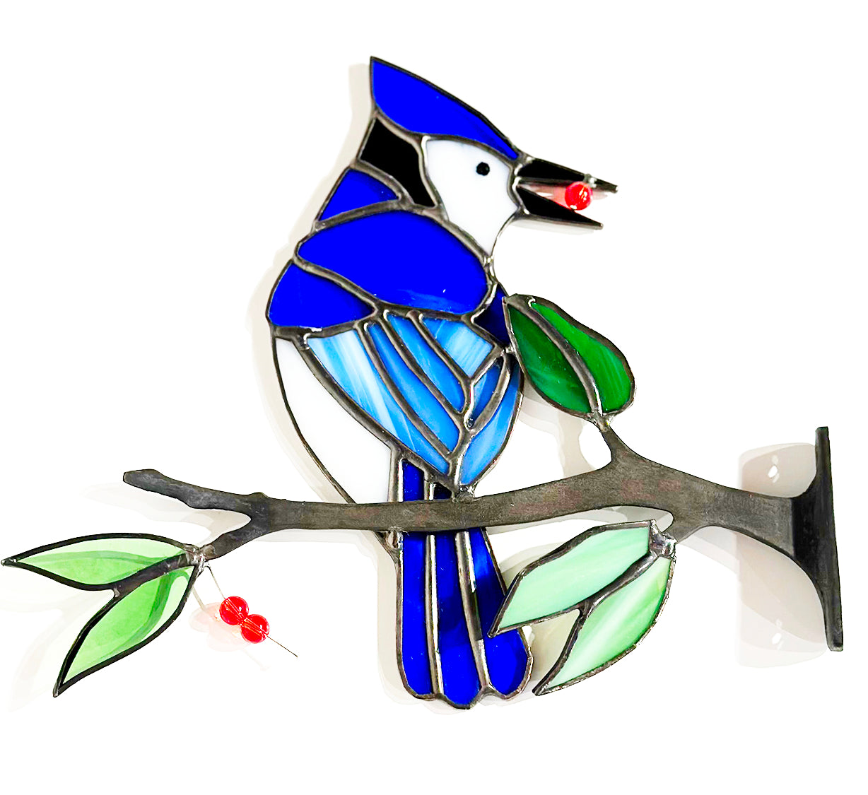 Blue Jay on a Branch