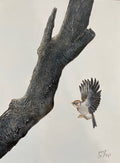 Landing Zone