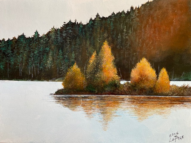 Tamarack Island