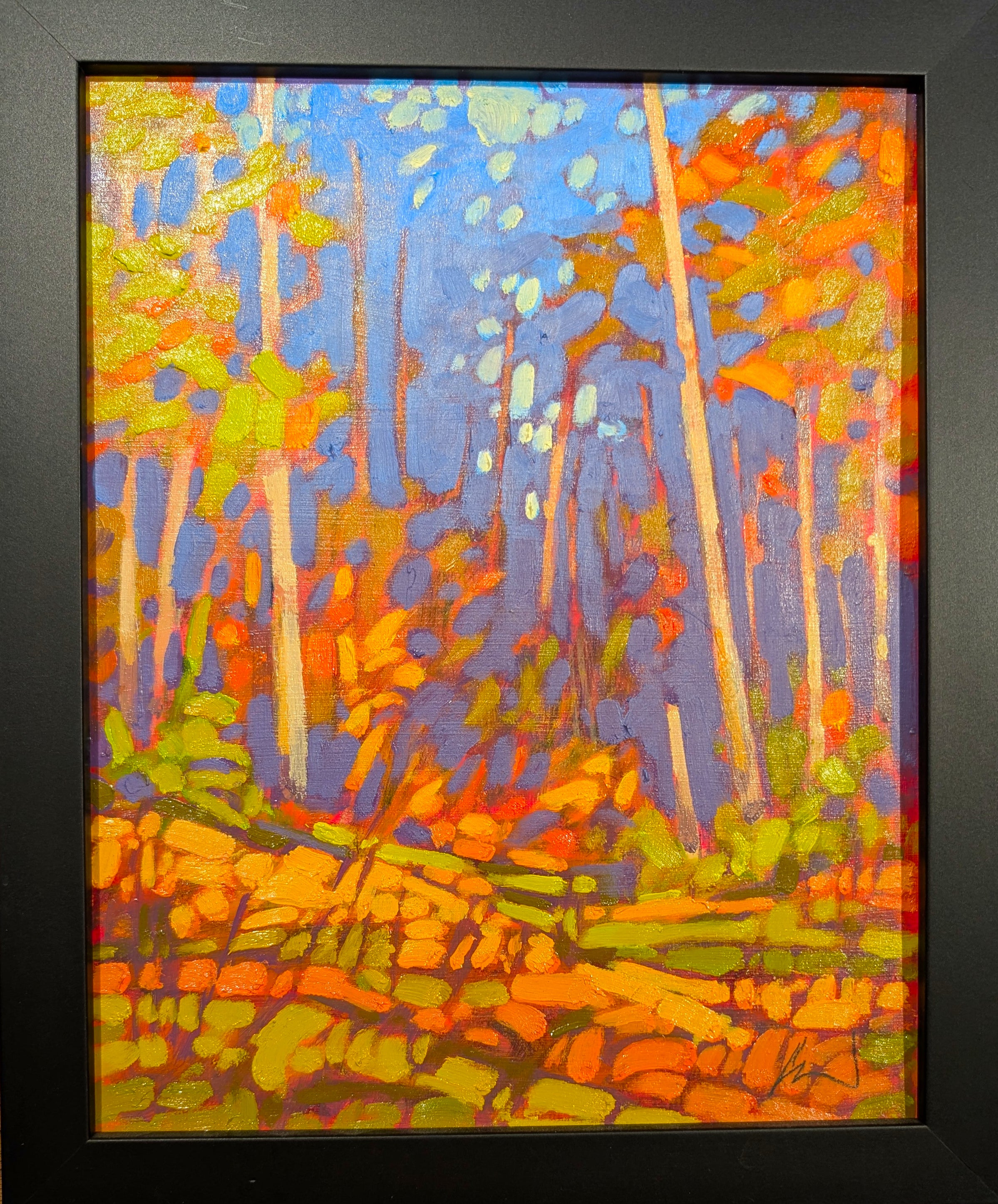 Forest Shadows