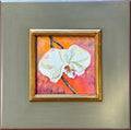 Orchid (S467)
