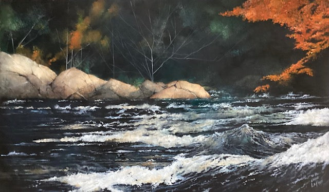 Hidden Rapids