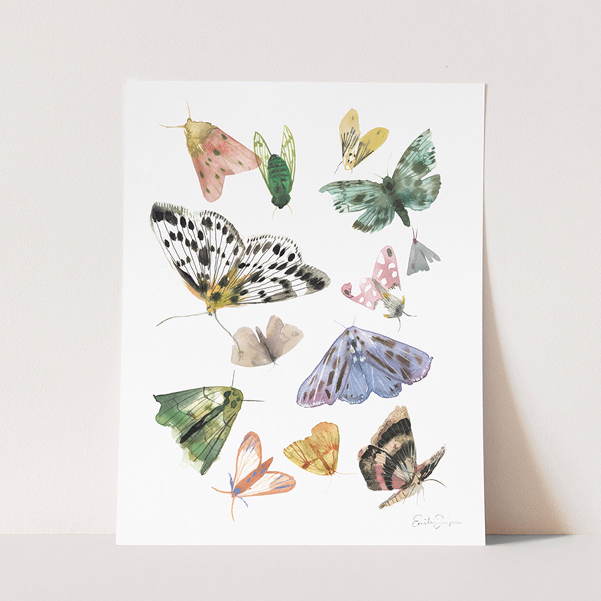 Butterflies and Moths (print)