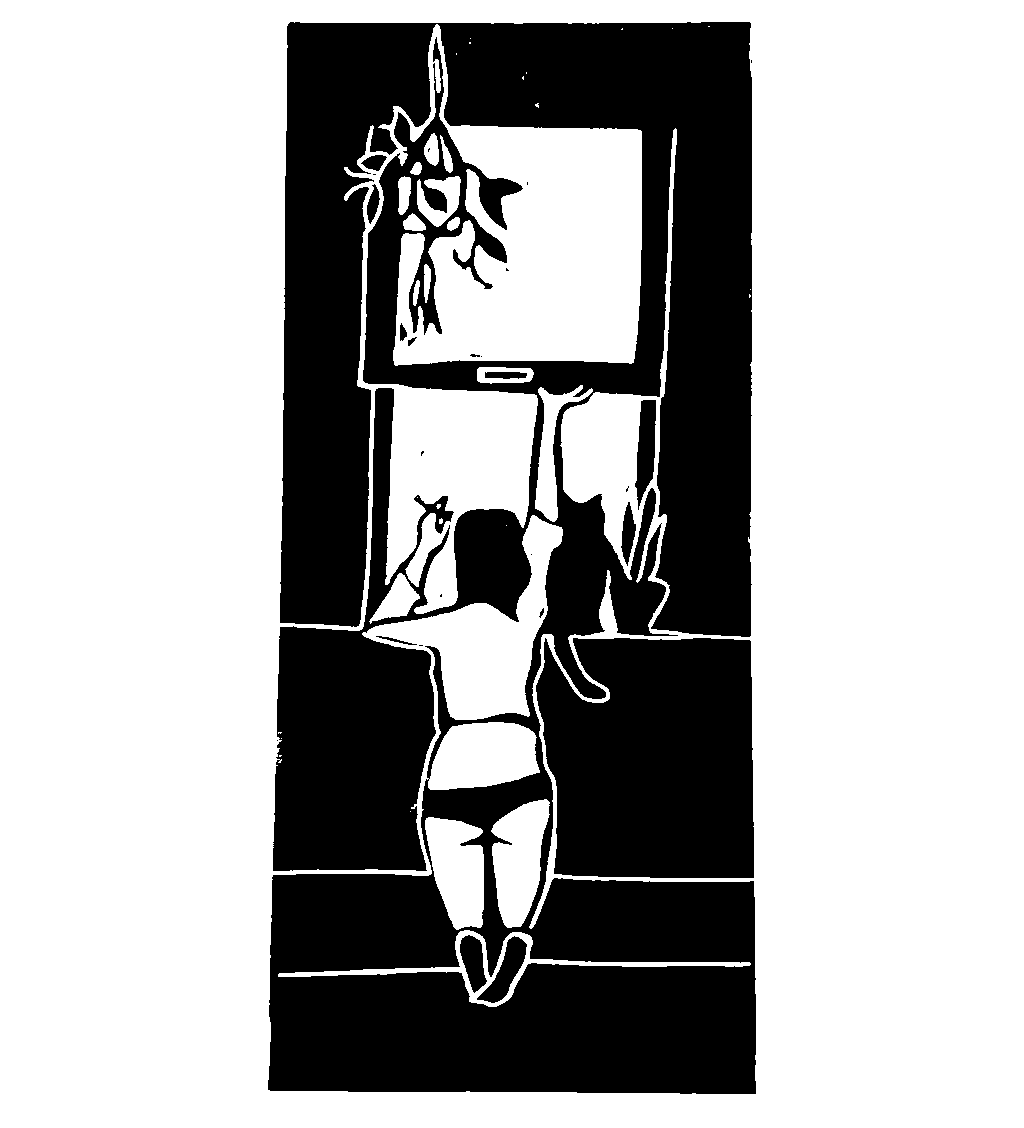 Window (20/25)