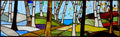 Four Season Birch